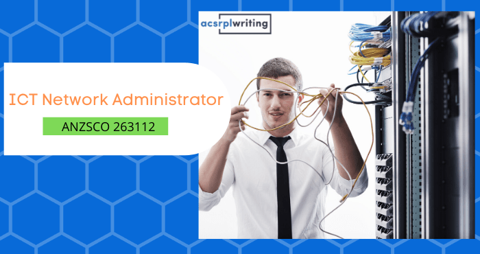 network administrator