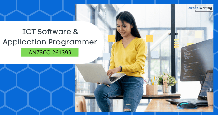 software and application programmer