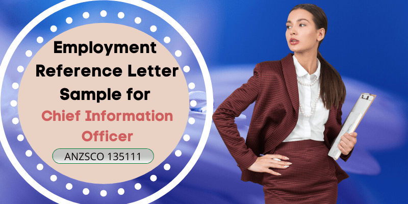 employment reference letter sample for information chief officer